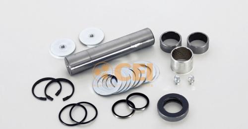 Ремкомплект шкворня MAN L2000/M2000 93 --> 172x35/36 x2