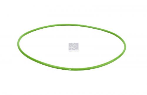 Кольцо уплотнительное ступицы SCANIA 3-й/4-й серии 250x5.5 зеленое