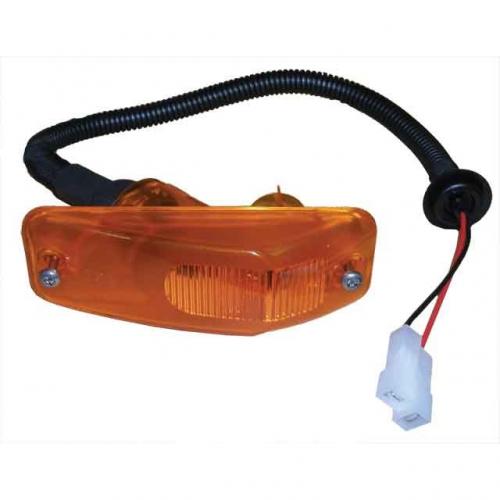 Фонарь указателя поворота DAF 65/75/85/95/105 L/R NEW