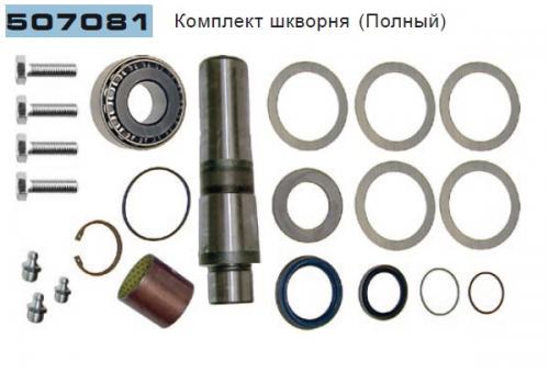 Ремкомплект шкворня SCANIA AM620/800/820/920 55x223 с подш